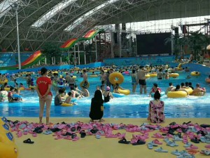 大型水上樂園設備報價 找哪家好呢